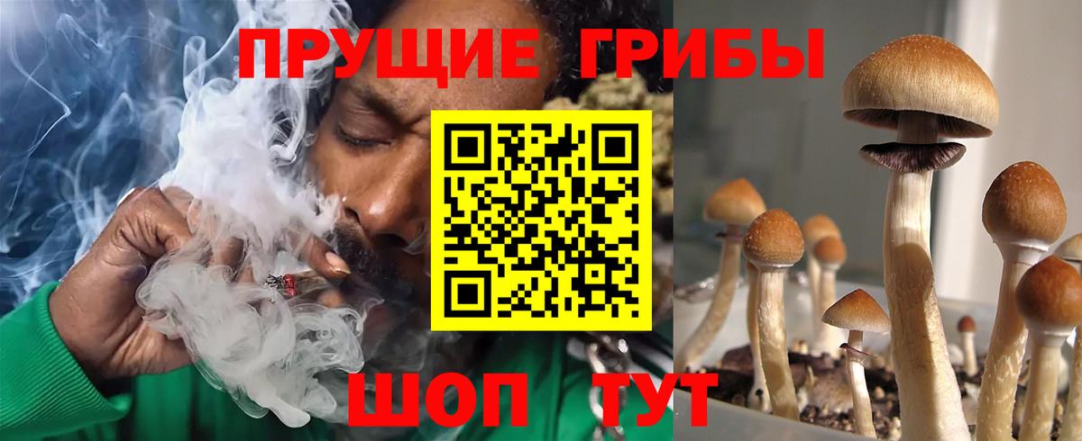 Псилоцибиновые грибы Psilocybe  Галлюциногенные грибы мухоморы  Советский  Вход с VPN 